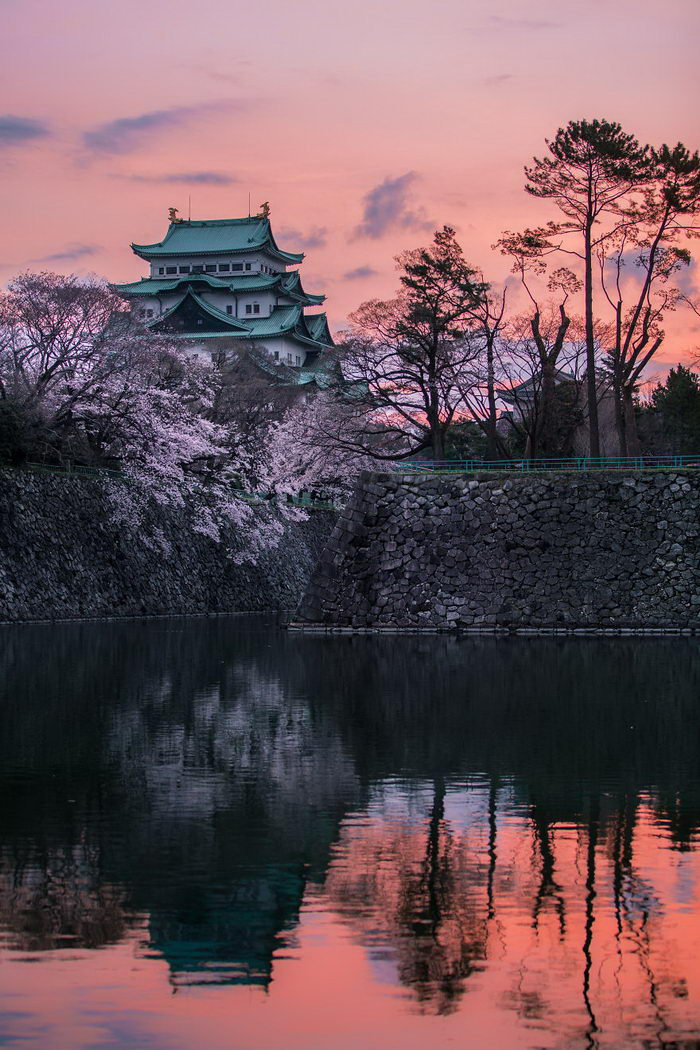 Цветение сакуры 2018 года: фото Hidenobu Suzuki