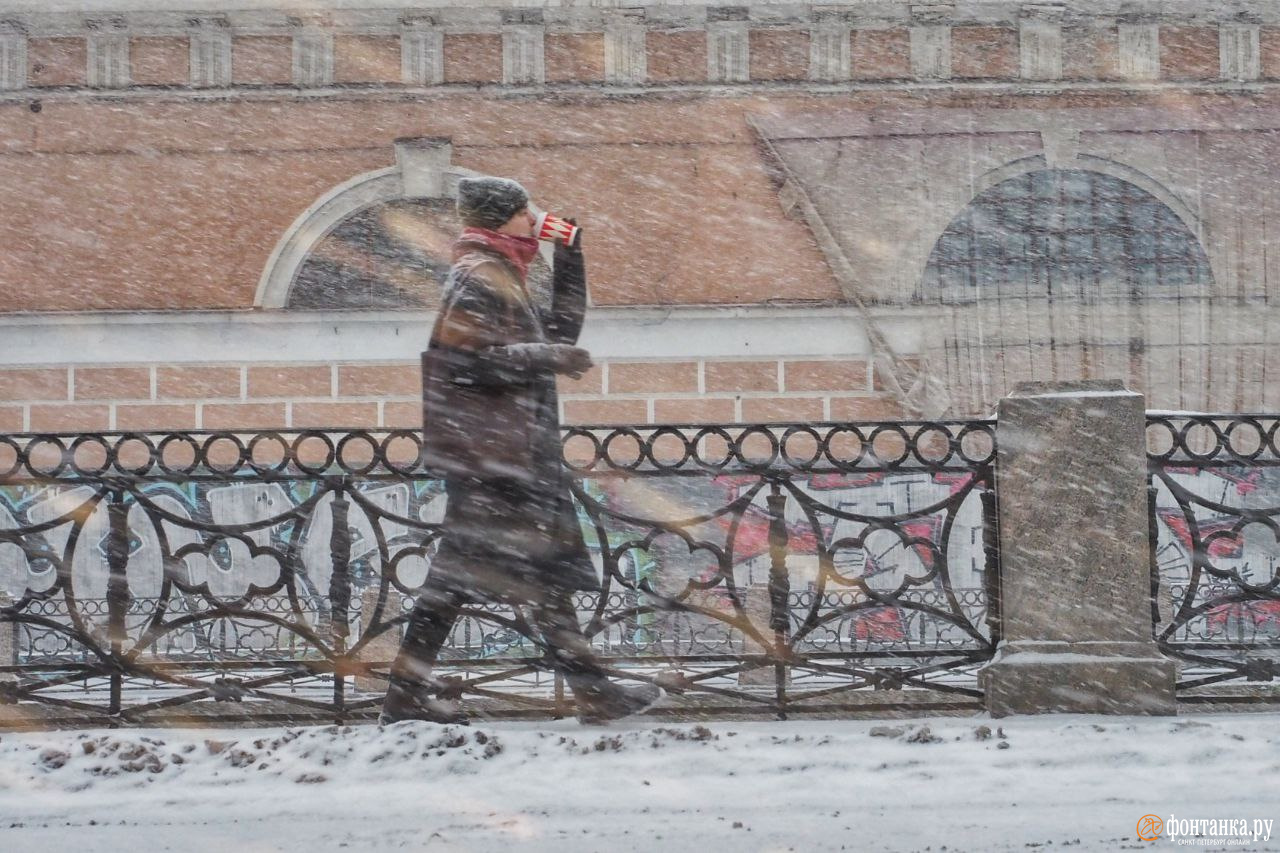 Метель в спб