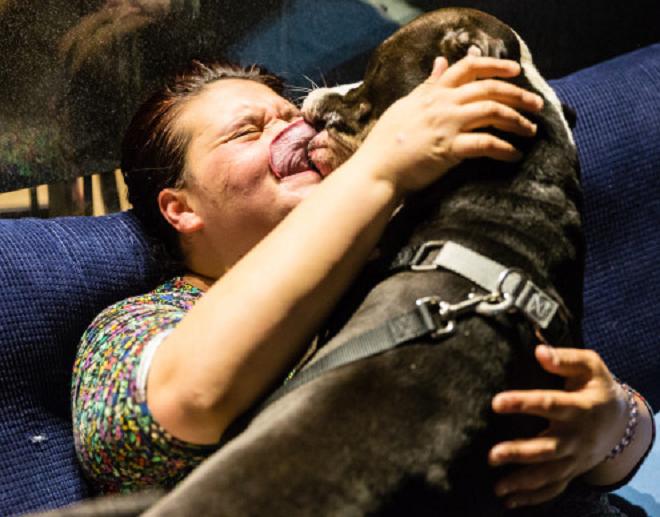 Счастливая собака