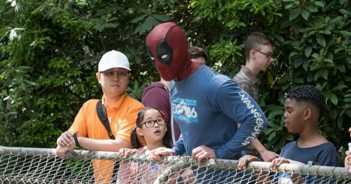 Фотоподборка вторника Фотоподборка вторника