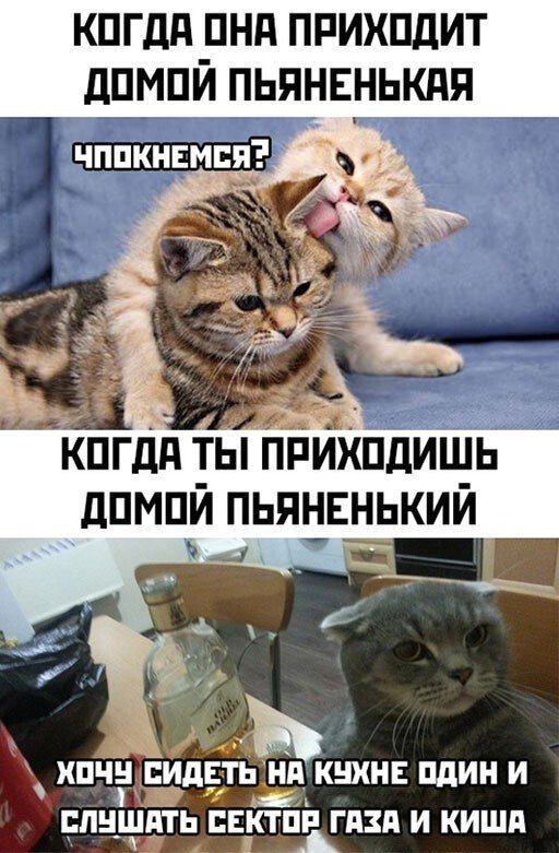 Шутки и мемы про алкоголь после прошедших выходных  позитив,смешные картинки,юмор