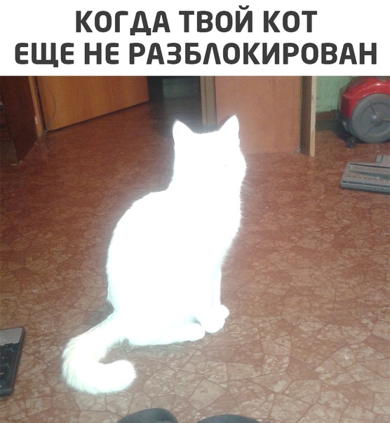 Подборка прикольных картинок. Вечерний выпуск Подборка прикольных картинок. Вечерний выпуск приколы,смешные картинки,юмор