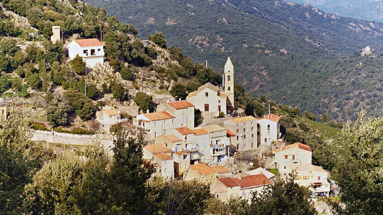 Римское здание с отпечатками копыта древнего кабана найдено на Корсике