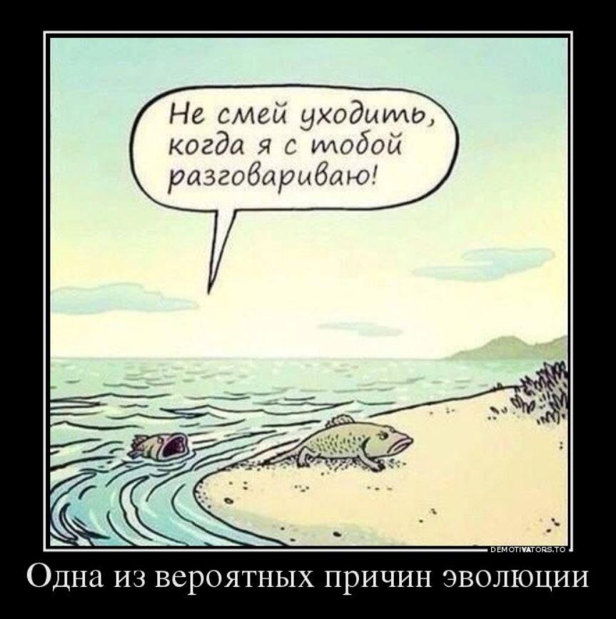 Лучшие приколы дня, картинки с надписями, смех до слез Лучшие приколы дня, картинки с надписями, смех до слез