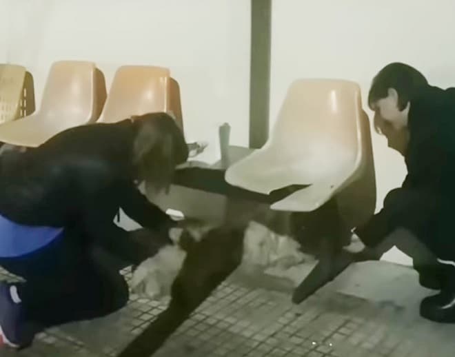 Люди присели