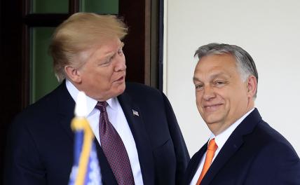 Орбан верит, что Трамп остановит украинский конфликт. Он что-то знает? геополитика,г,Москва [1405113]