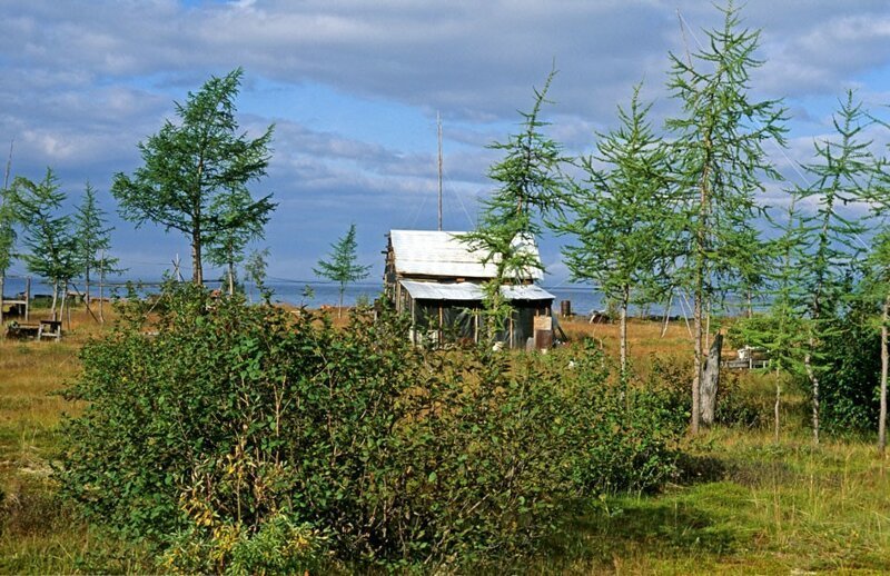Отшельник Хантайского озера Отшельник Хантайского озера история,люди,отшельник,путешествие