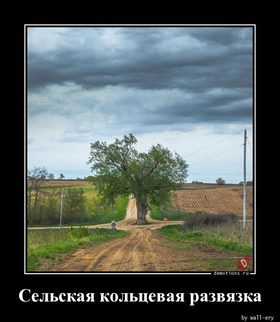 Демотиваторов пост: «Мамой клянусь!»  