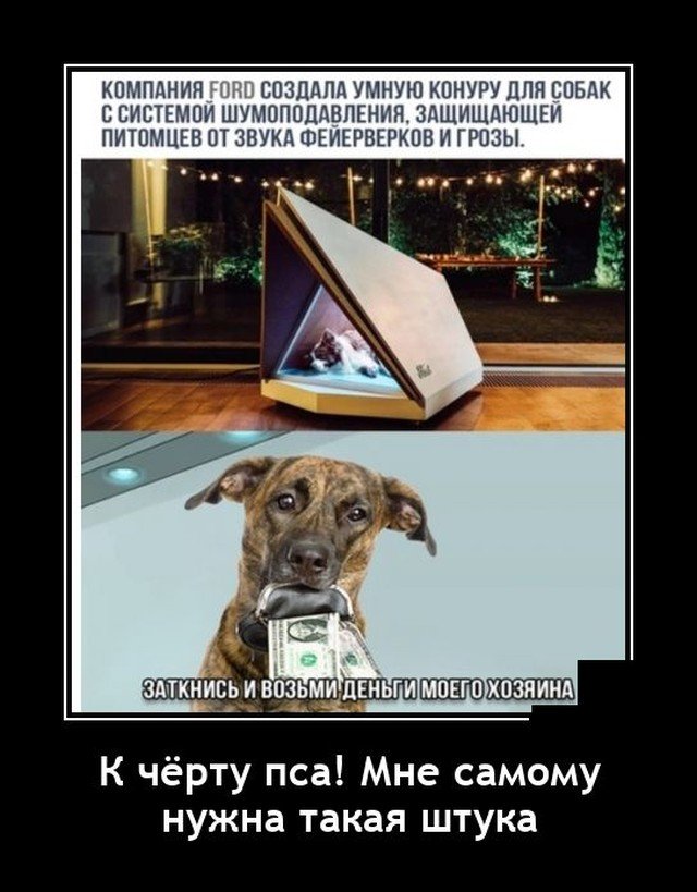 Самые новые демотиваторы  демотиваторы