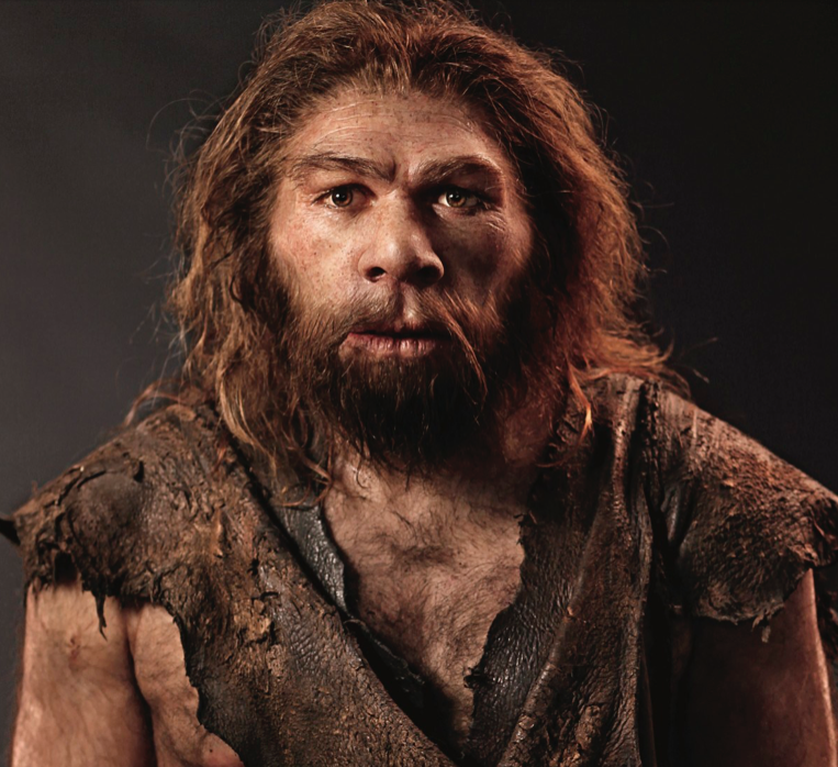Предполагаемый облик неандертальца. Изображение взято с сайта: https://aflati.ro/cei-mai-temuti-predatori-din-istorie-6110