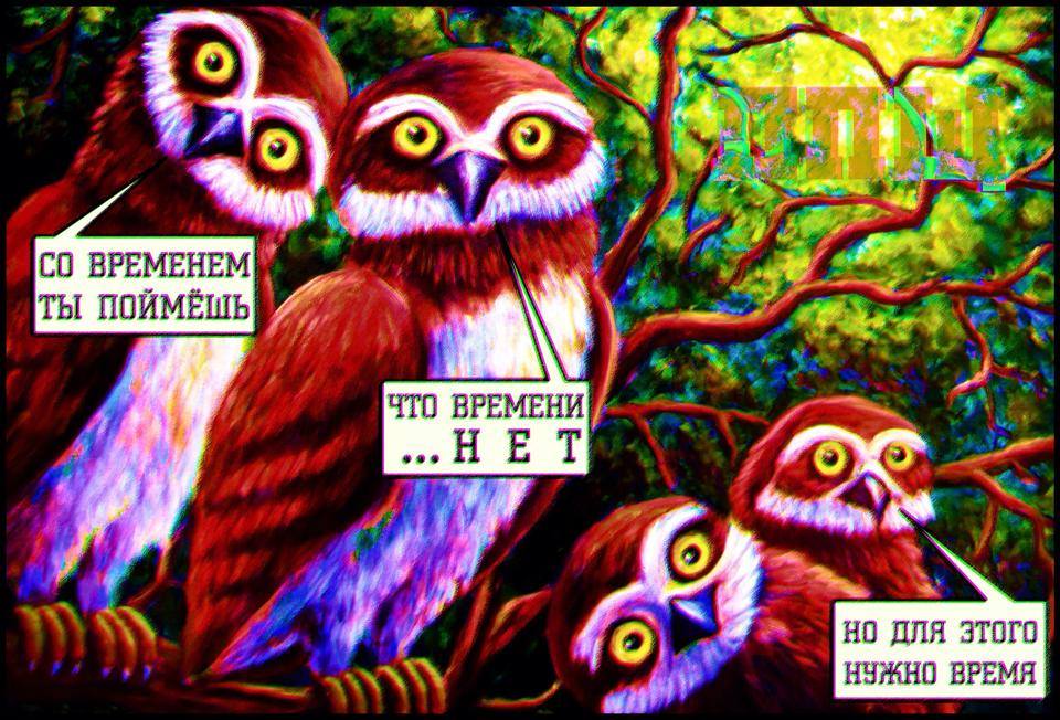 Революция сознания в картинках Революция сознания в картинках