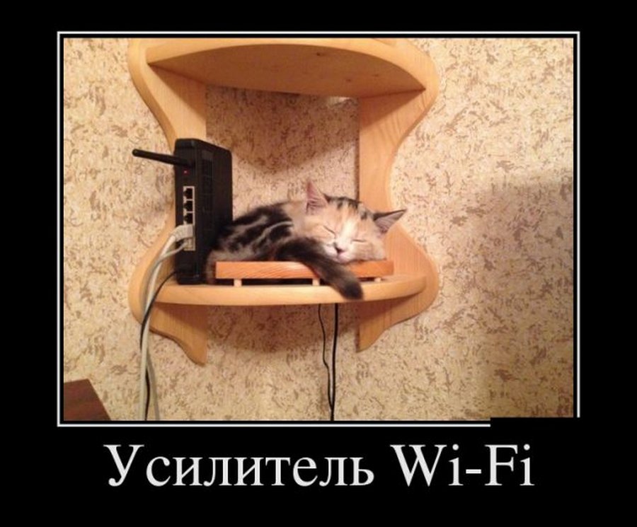 Нет вайфая. Wi-Fi юмор. Прикол Wi Fi. Роутер демотиваторы. Юмор про вай фай.