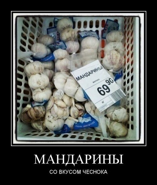 Новые демотиваторы для всех (13 шт)