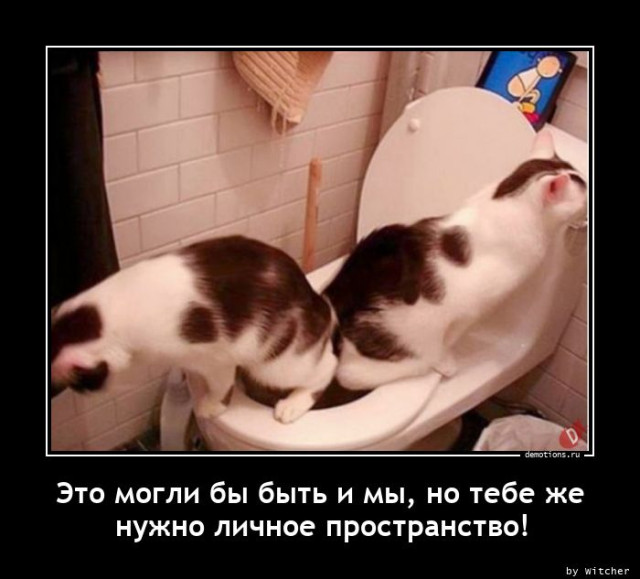 Демотиваторов пост: «Мамой клянусь!»  