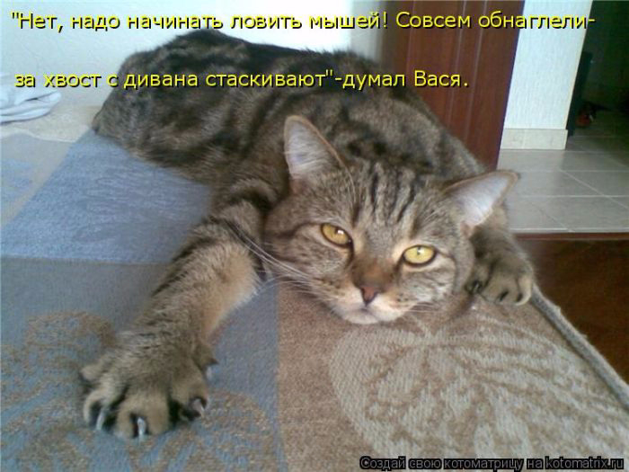Ничего не хочется картинки