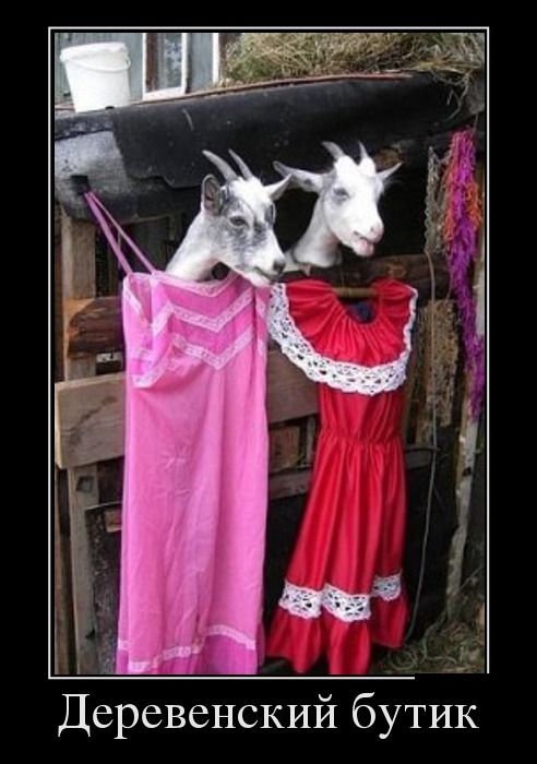 Классные и веселые демотиваторы из нашей жизни Классные и веселые демотиваторы из нашей жизни