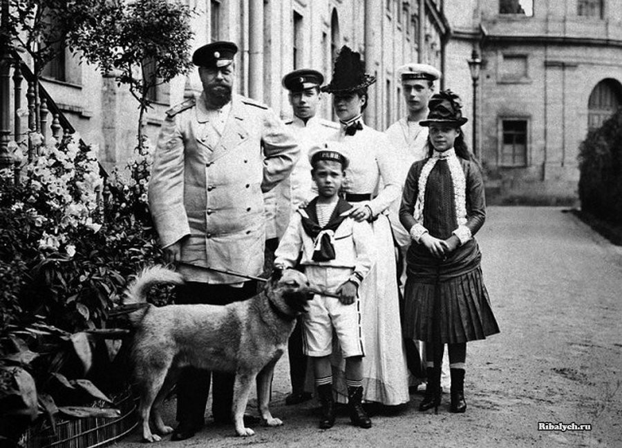 Старые фотографии, осколки истории