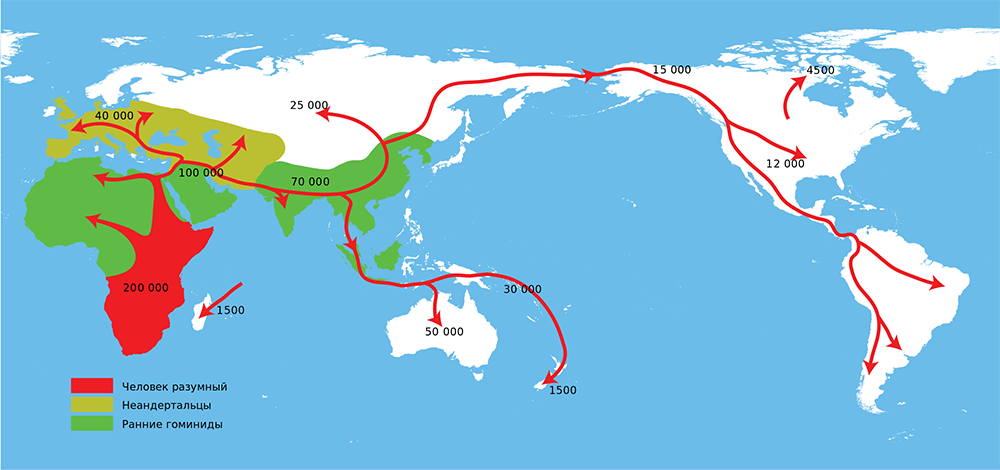 Карта миграций предков человека.