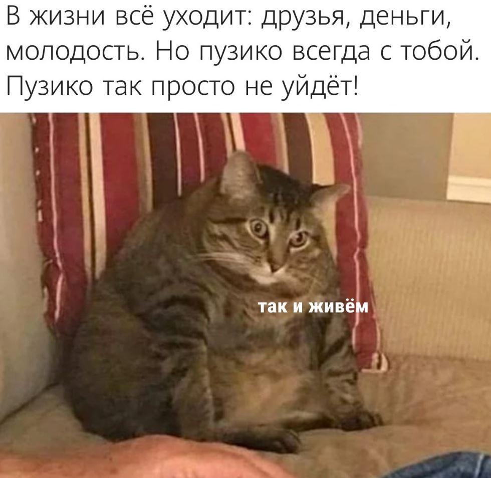 Лучшие приколы дня, картинки с надписями, смех до слез Лучшие приколы дня, картинки с надписями, смех до слез