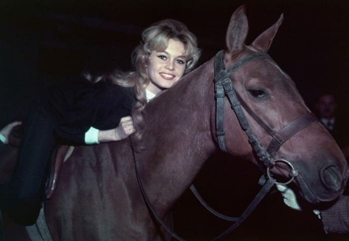 Брижит Бардо – 85: Две жизни одной из самых красивых и непредсказуемых актрис Брижит Бардо – 85: Две жизни одной из самых красивых и непредсказуемых актрис актрисы,Брижит Бардо,знаменитости,мода и красота,стиль жизни