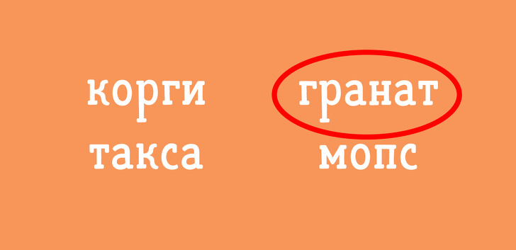 Тест из 12 анаграмм, который проверит ваше логическое мышление