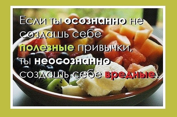 Пятьдесят полезных привычек.