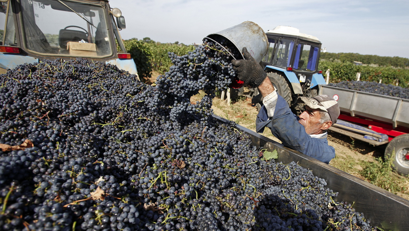 Почему вино из Крыма продается на Украине вопреки объявленным санкциям Вино,Крым,Торговля,Украина,Экономика,Украина