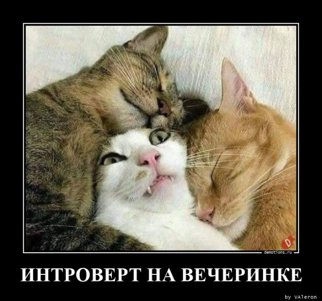 Очередная порция прикольных демотиваторов на любой вкус для поднятия настроения! Очередная порция прикольных демотиваторов на любой вкус для поднятия настроения!