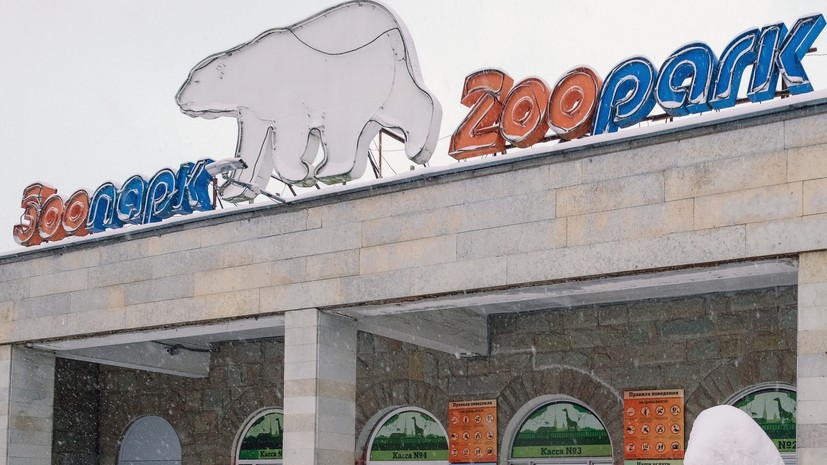 Ленинградский зоопарк заявил о переходе на летнее расписание