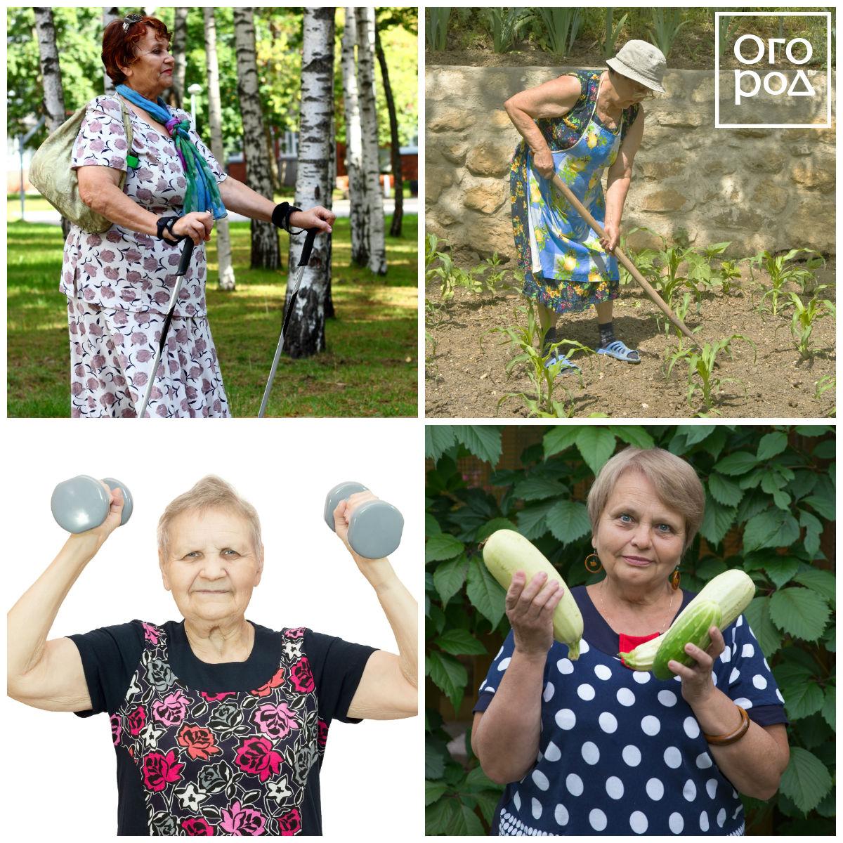 Спортивные пенсионеры 