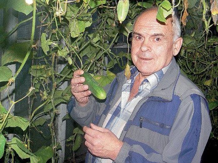 Как сложилась судьба Вольки из «Старика Хоттабыча». Как сложилась судьба Вольки из «Старика Хоттабыча».