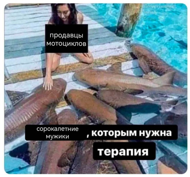 Смешные картинки с надписями и идеальный торт Смешные картинки с надписями и идеальный торт