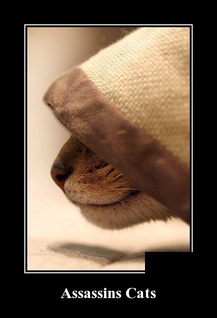 Самые забавные демотиваторы Самые забавные демотиваторы