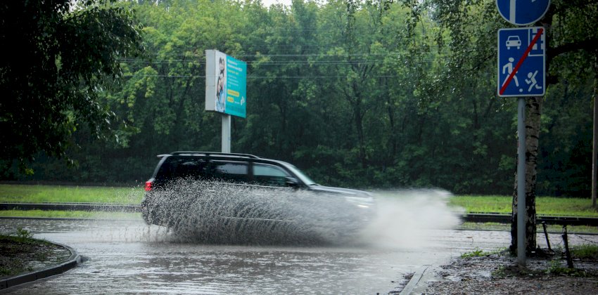 Иван Купала от природы. Мокрый фоторепортаж с улиц Барнаула