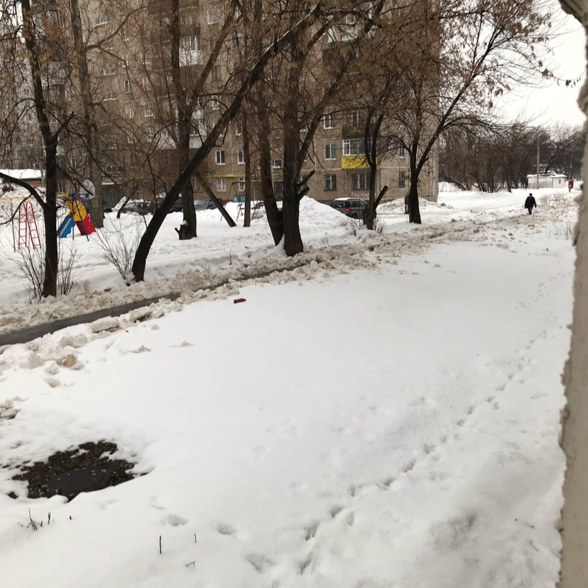 Детский труд, бессмысленный и бесплатный Детский труд, бессмысленный и бесплатный детский труд,общество,россияне