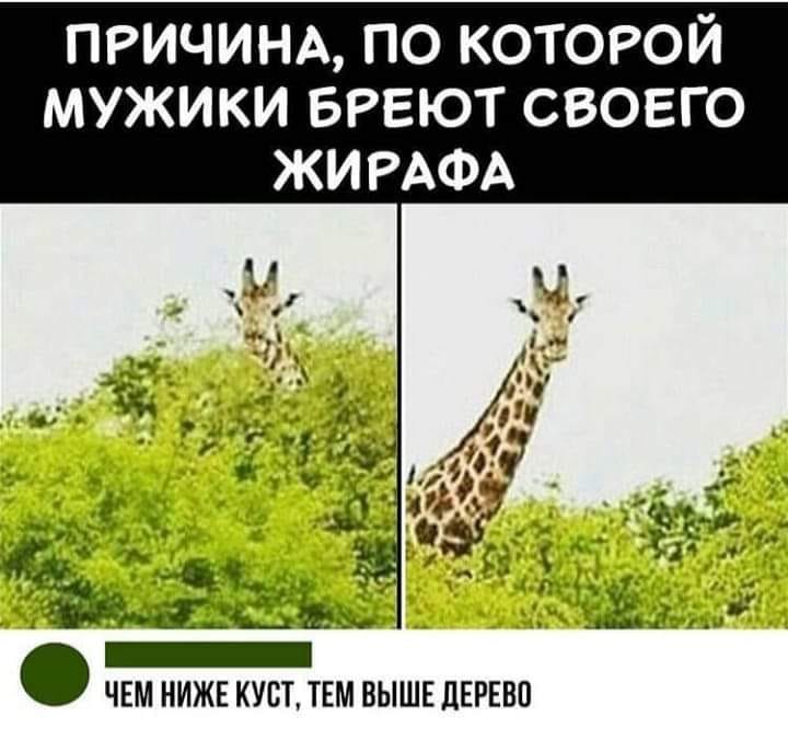 Мужик забегает в отделение милиции Мужик забегает в отделение милиции анекдоты