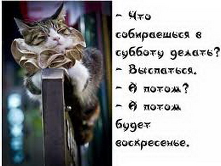 Подборка задорного юмора и искрометных анекдотов Подборка задорного юмора и искрометных анекдотов