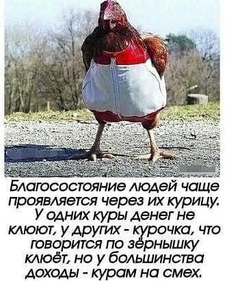 - Алло? Тишина. - Алло! Говорите!... Весёлые,прикольные и забавные фотки и картинки,А так же анекдоты и приятное общение