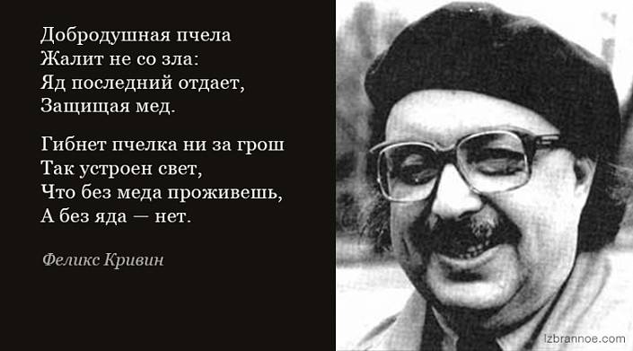 Текст ф кривин. Ф Кривин. Кривин Феликс Давидович. Ф Кривин портрет. Феликс Кривин портрет.