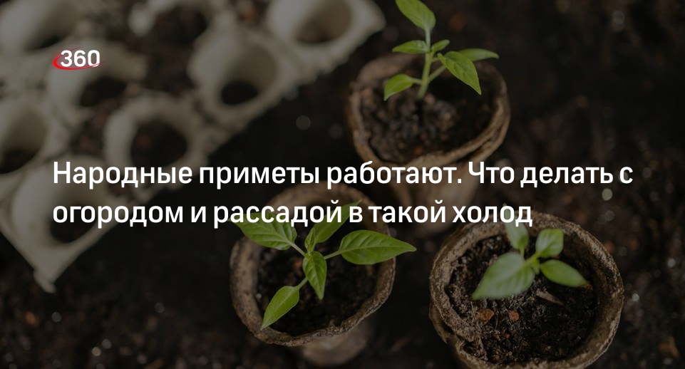 Садовод Жашкова: из-за заморозков в майские праздники не стоит высаживать рассаду