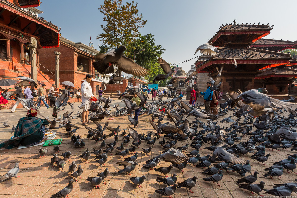 В поисках охотников за медом диких пчёл, Катманду  -  площадь Дурбар азия,Гималаи,заграница,отдых,турист