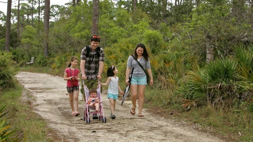 Депутат ГД Сухарев предложил наделить трудовым статусом ряд многодетных россиян