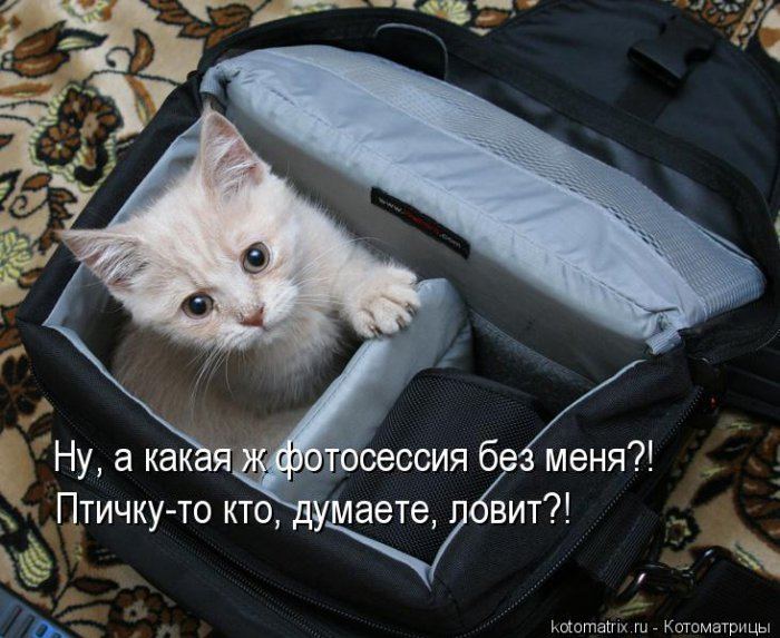 Мысли вслух :)