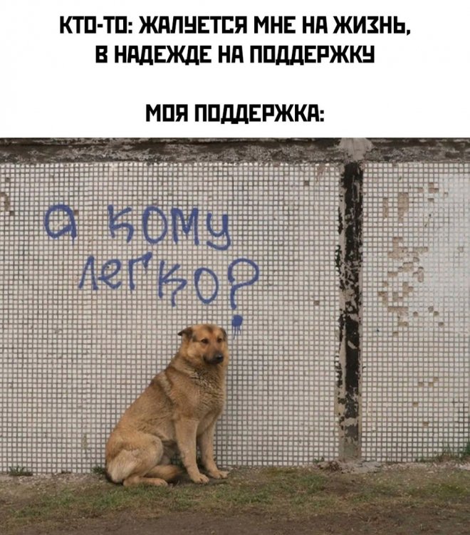 Иногда даешь человеку шанс, а надо было давать леща 