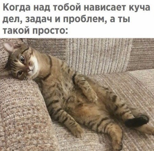 Позитивная подборка фото-приколов Позитивная подборка фото-приколов mir-interes.info