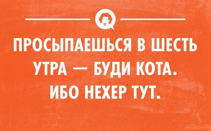 - Должен тебе признаться, что единственный мой недостаток - это искренность, моя ты кривоногая толстушка! - Должен тебе признаться, что единственный мой недостаток - это искренность, моя ты кривоногая толстушка! анекдоты,демотиваторы,приколы,юмор