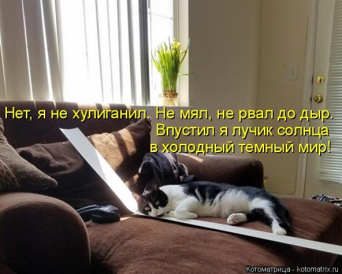 Новая котоматрица на выходные Новая котоматрица на выходные