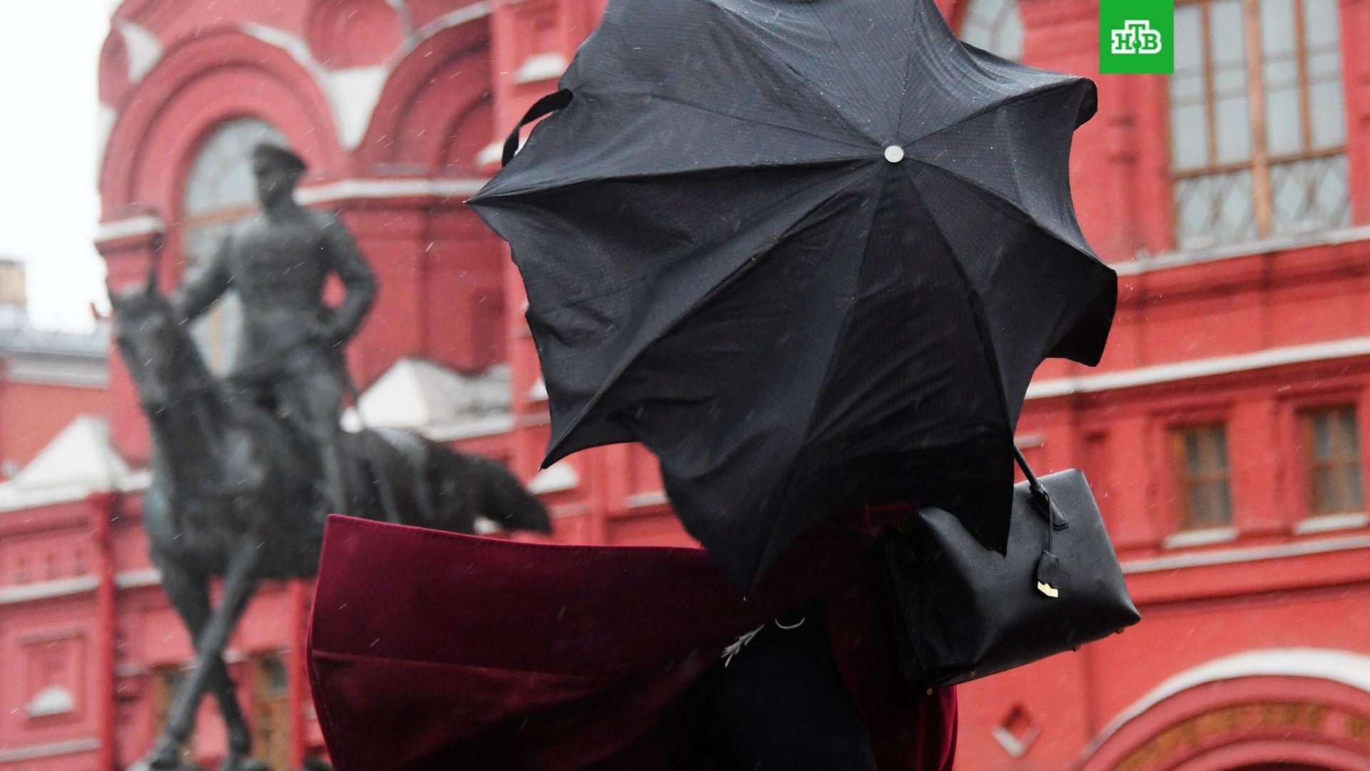 Ливень в москве. Сильный ливень. Гроза зимой в москве 2019. Сильный ветер в москве сегодня. Когда прекратится ветер в москве и московской.