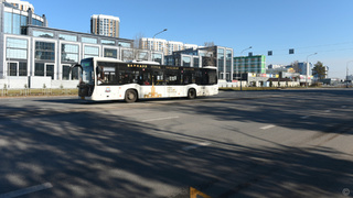 Фото: barnaul.org                 