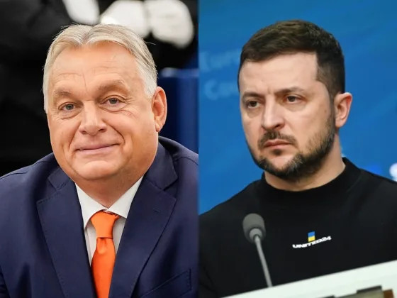 Украина обиделась на Венгрию из-за оскорбительных карикатур на Зеленского